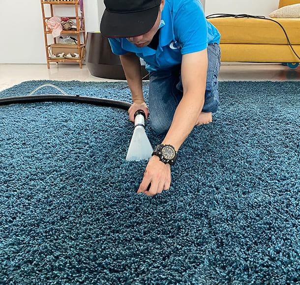 Oriental Rug Cleaning